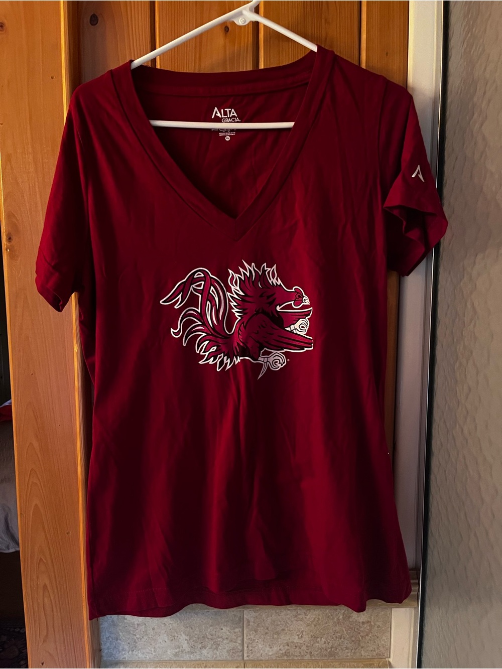 SC Gamecocks Women's V-Neck Tee in Garnet with Graphic